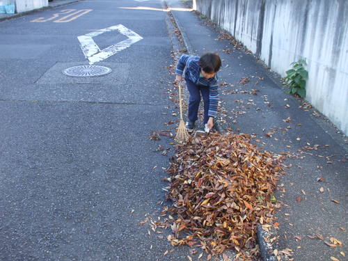 http://www.e-giin.net/_public/get_image.php?image_no=906&element_type=4&id=kakura