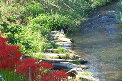 http://www.e-giin.net/_public/get_image.php?image_no=864&element_type=2&id=kakura