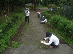 http://www.e-giin.net/_public/get_image.php?image_no=849&element_type=3&id=kakura
