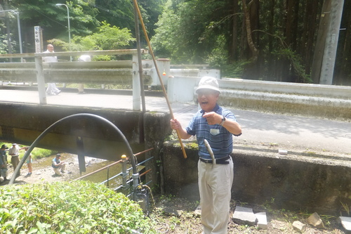 http://www.e-giin.net/_public/get_image.php?image_no=844&element_type=4&id=kakura