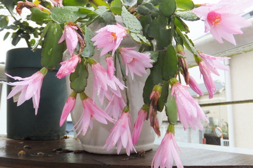 http://www.e-giin.net/_public/get_image.php?image_no=832&element_type=4&id=kakura