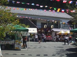 http://www.e-giin.net/_public/get_image.php?image_no=808&element_type=3&id=kakura