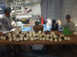 http://www.e-giin.net/_public/get_image.php?image_no=806&element_type=2&id=kakura