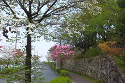 http://www.e-giin.net/_public/get_image.php?image_no=802&element_type=2&id=kakura