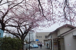http://www.e-giin.net/_public/get_image.php?image_no=797&element_type=2&id=kakura