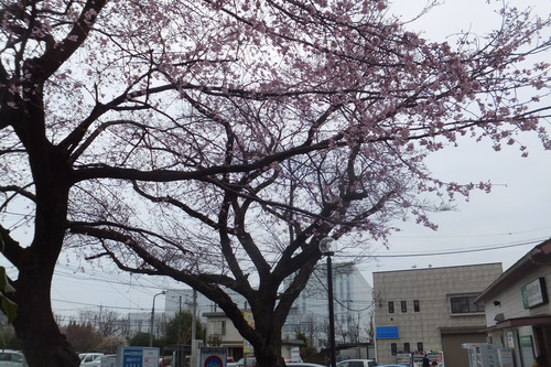 http://www.e-giin.net/_public/get_image.php?image_no=798&element_type=4&id=kakura