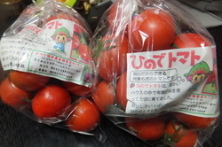 http://www.e-giin.net/_public/get_image.php?image_no=1030&element_type=2&id=kakura