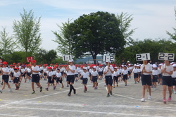 http://www.e-giin.net/_public/get_image.php?image_no=1010&element_type=2&id=kakura