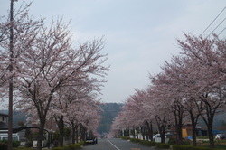http://www.e-giin.net/_public/get_image.php?image_no=973&element_type=2&id=kakura