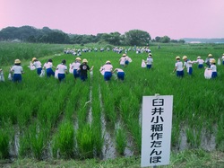 http://www.e-giin.net/_public/get_image.php?image_no=1038&element_type=3&id=okamura