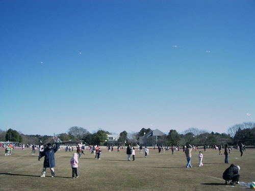 http://www.e-giin.net/_public/get_image.php?image_no=1264&element_type=4&id=okamura