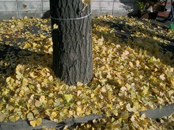 http://www.e-giin.net/_public/get_image.php?image_no=1437&element_type=3&id=okamura