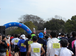 http://www.e-giin.net/_public/get_image.php?image_no=1757&element_type=3&id=okamura