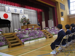 http://www.e-giin.net/_public/get_image.php?image_no=1937&element_type=2&id=okamura